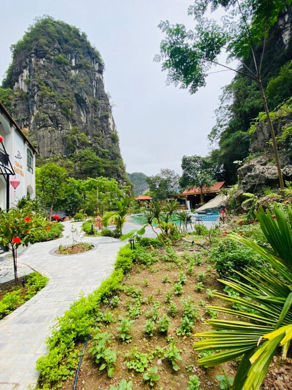 Tam Coc Galaxy Villa Ninh Binh Zewnętrze zdjęcie